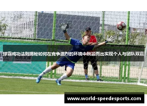 球霸成功法则揭秘如何在竞争激烈的环境中脱颖而出实现个人与团队双赢
