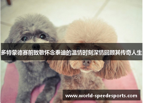 多特蒙德赛前致敬怀念泰迪的温情时刻深情回顾其传奇人生